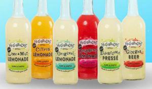 Six glass bottles of Hullabaloos-branded soft drinks are arranged in a row. The labels indicate the type of drink, including four types of lemonade plus elderflower presse and ginger beer.