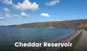 A large reservoir is gently rippled with waves from a light breeze. There are a few fluffy white clouds in the sky, and a paved pathway curves around the edge of the reservoir. The Mendip Hills rear upwards in the background